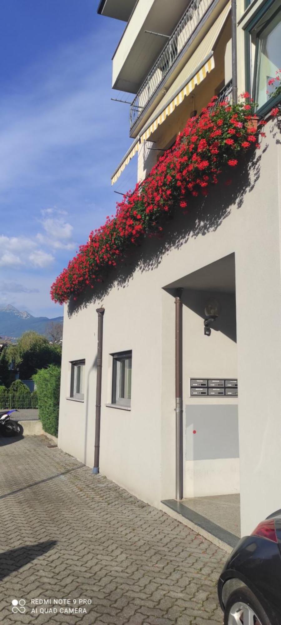 Apartament Casa Lina Tirano Zewnętrze zdjęcie
